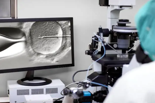 Embryologist working in cleanroom IVF culture laboratory