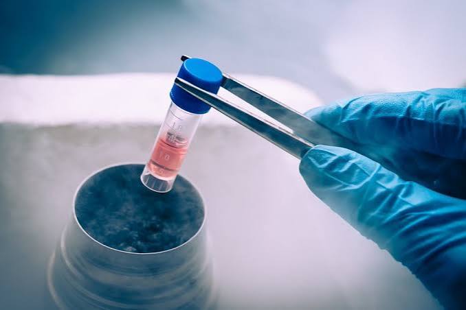 Cryopreservation tanks and vitrification straws