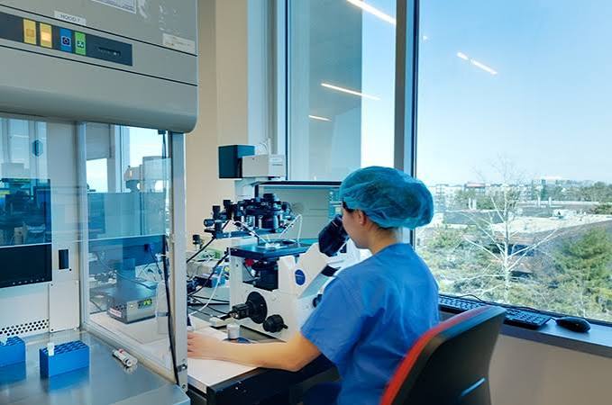 ICSI micromanipulation under high-power microscope